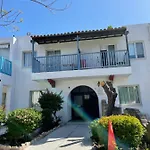 Dream Studio270m From The Paphos