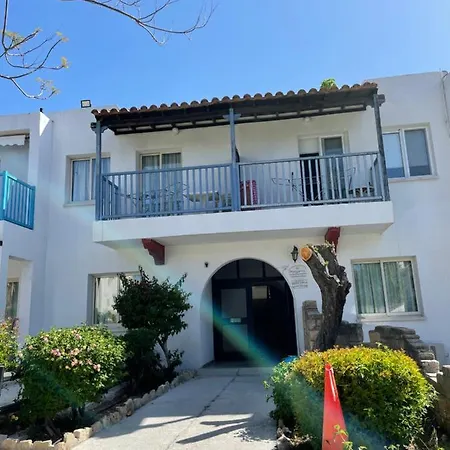 Dream Studio270m From The Paphos