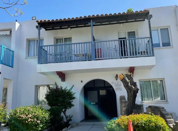 Dream Studio270m From The Paphos